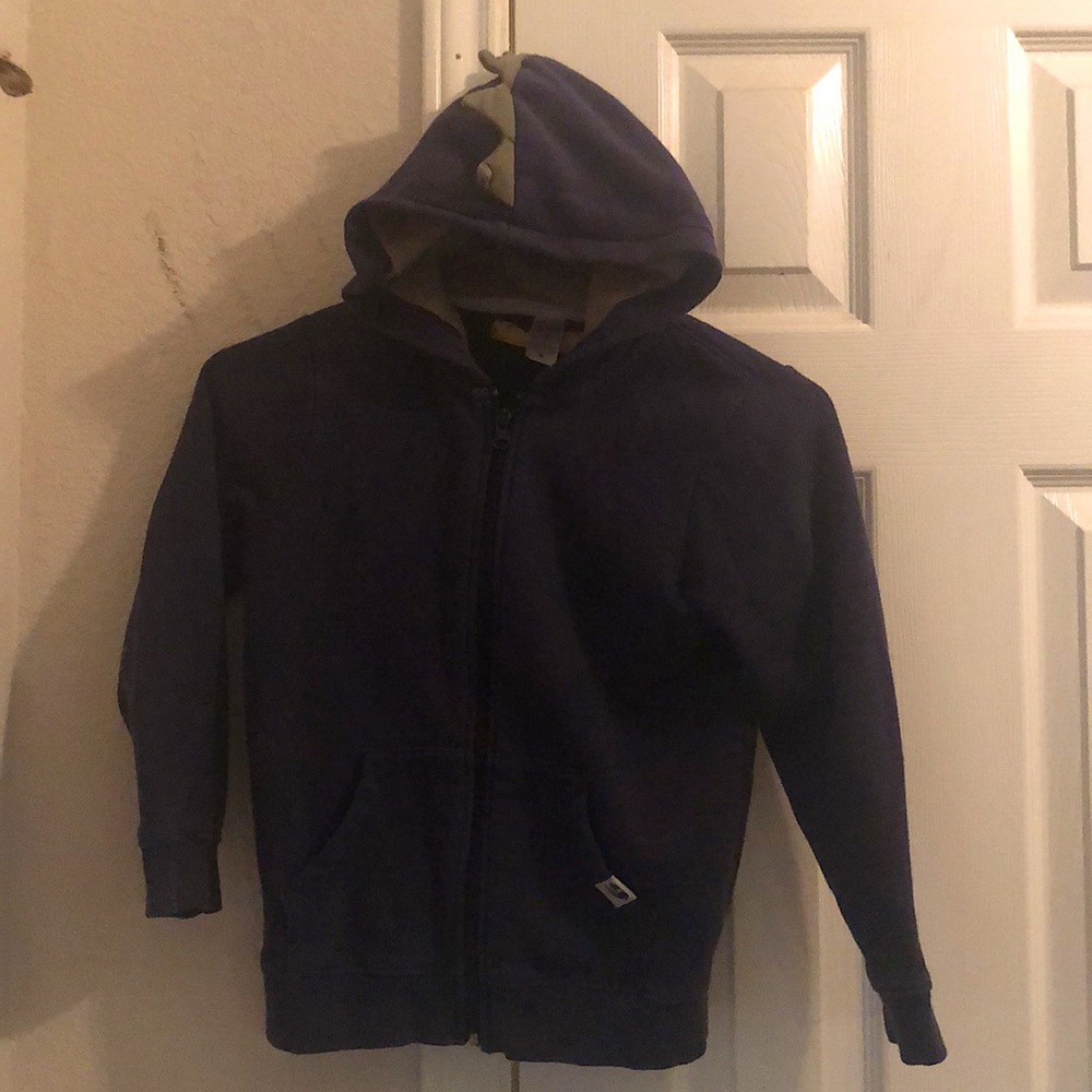 Carter’s Dinosaur Hoodie